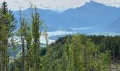 Tour Wandern Thalgau - De Wasenmoos à la Chapelle du Kolomansberg - Photo 9