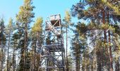 Trail On foot Äänekoski - Laulava Mörön Polku - Photo 1