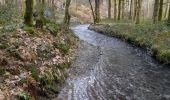 Excursión Senderismo Vresse-sur-Semois - Marche ADEPS à  Nafraiture - Photo 9