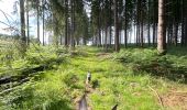 Tour Reiten Habich - Forêt de Rulles - Photo 2