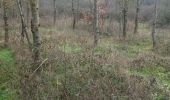 Percorso Marcia Parmilieu - sentier des bogues proposition - Photo 1