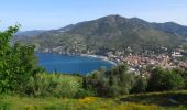 Randonnée Marche Monterosso al Mare - Mte Focone en boucle depuis Monterosso - Photo 2