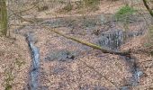 Tocht Stappen Vauchassis - Balade en forêt - Photo 4