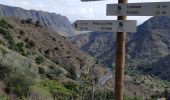 Tocht Stappen Hermigua - Canaries - La Gomera - El Cedro - jour 7 - Photo 4