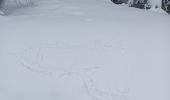 Randonnée Ski de randonnée Saint-Christophe-sur-Guiers - la morte - Photo 12