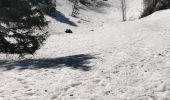 Tocht Stappen Arâches-la-Frasse - Les Carroz l'Arbaron en boucle - Photo 12