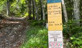 Tour Wandern Engins - Boucle au départ d’engins - Photo 20