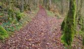 Trail Walking Matafelon-Granges - Charmine Coiselet Matafelon  - Photo 7