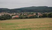 Percorso A piedi Albrechtice nad Vltavou - Historická stezka Albrechtickem - Photo 7