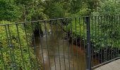 Tocht Stappen Le Teich - 26 juillet 23 - Photo 1