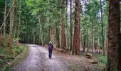 Trail Walking Oloron-Sainte-Marie - Fôret du Bager - Photo 1