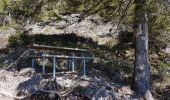 Trail Walking Sewen - Lac d'Alfed et sa cascade - Lac des Perches  - Lac du Newiher - Photo 15