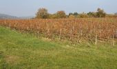 Excursión Senderismo Saint-Jean-des-Vignes - Saint-Jean-des-Vignes - De Saint-Jean à Pierre Folle - Photo 8