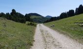 Trail Walking Châtillon-en-Diois - La Montagnette par le Pas de la Plane (Combau) - Photo 18