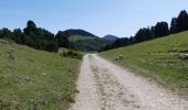 Percorso Marcia Châtillon-en-Diois - La Montagnette par le Pas de la Plane (Combau) - Photo 18