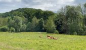 Percorso Marcia Doische - Vallée de l'Hermeton - Photo 2