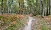 Trail Walking Cesson - Cesson-la-Forêt - Boissise-la-Bertrand - Photo 7
