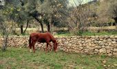 Excursión Senderismo Le Revest-les-Eaux - Les hauteurs de La ripelle - Le revest Les eaux - Photo 19