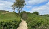 Randonnée Marche Genappe - Promenade de Bousval - Photo 9