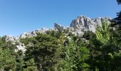 Trail Walking Castellane - Les cadières de Brandis - Photo 15