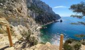 Tocht Stappen Marseille - Les calanques de Cassis . Sugiton Morgiou.Sormiou - Photo 18