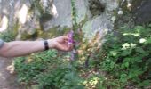 Trail Walking Magny-les-Hameaux - bois des roches - Photo 16