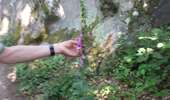 Randonnée Marche Magny-les-Hameaux - bois des roches - Photo 16