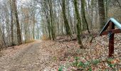 Trail On foot Nalbach - Litermont-Gipfeltour - Photo 10