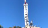 Tour Wandern Saint-Raphaël - Les grues et le pic de l'ours depuis la gare du Trayas - Photo 19