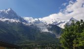 Randonnée Marche Chamonix-Mont-Blanc - Gare de Chamonix aux Houches par l'Arve - Photo 10