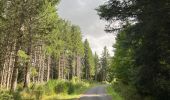 Tocht Stappen Cayres - Grand tour du Lac du Bouchet - Photo 4