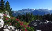 Tour Wandern Wolkenstein - Randonnée matinale - Photo 3