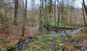 Randonnée Marche Bouillon - Les Hayons 110426 - Photo 10
