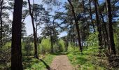 Percorso Marcia Lommel -  CANI-RANDO TOUR (boucle Sahara de Lommel)  - Photo 1