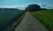 Trail Walking Liège - cani-rando tour (1ère étape) - Photo 6