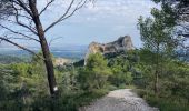 Trail Walking Saint-Rémy-de-Provence - Gaussier, Peiroou et les 2 trous - Photo 2