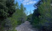 Trail Walking Escorca - GR221 # Lluc - Pollença - Photo 8