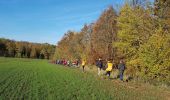 Excursión Senderismo Bouresches - Bouresches du 22/11/2019 - Photo 1