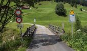 Trail On foot Davos - Steig - Ardusch - Photo 9