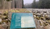 Tour Wandern Arrentès-de-Corcieux - Champs des roches  - Photo 2