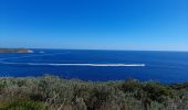 Trail Walking La Croix-Valmer - TOULON / CAVALAIRE SUR MER: CIRCUIT DE GIGARO - Photo 5
