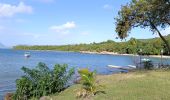 Tour Wandern Sainte-Luce - Plage de Ste Luce, parcours santé  - Photo 3