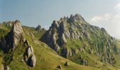 Percorso A piedi Sconosciuto - Vârful Ciucaș - Șaua Ciucaș - Plaiul Domnesc - Poiana Dălghiului - Photo 8