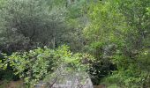 Trail Walking Saint-Laurent-en-Royans - Pont des Chartreux st Laurent en Royans  - Photo 3