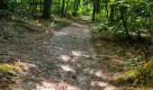 Tocht Stappen Saint-Sulpice-de-Favières - Saint-Sulpice-de-Favières - Photo 17