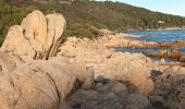 Percorso Marcia Ramatuelle - cap Camarat-golfe St Tropez-03-12-21 - Photo 1