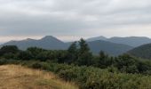 Tour Wandern Orcines - Goules Sarcoui Chaumont - Photo 5