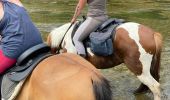 Trail Horseback riding Hériménil - Herimenil baignade Tivio Kenzo tiboy  - Photo 13