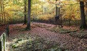 Tour Zu Fuß Römhild - Wanderroute II im Gleichberggebiet - Photo 10