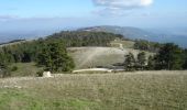 Excursión Bici de montaña Cucuron - Moure Nègre - Photo 1